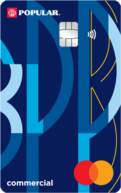 Popular Commercial Visa Credit Card